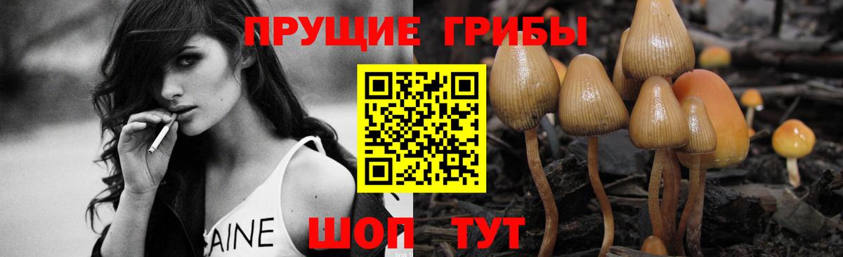 Галлюциногенные грибы Cubensis  Вход с VPN  Гудермес 
